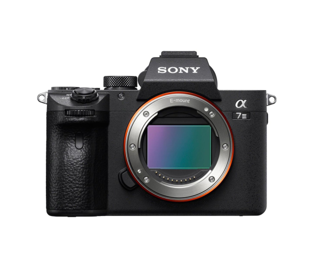 Sony Alpha a7 III + FE 24–70 mm f/2.8 GM + ECM-LV1 - 1618823 - zdjęcie 2